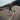 Running Apparel