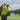 CEP golf socks