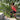 CEP men's knee pain