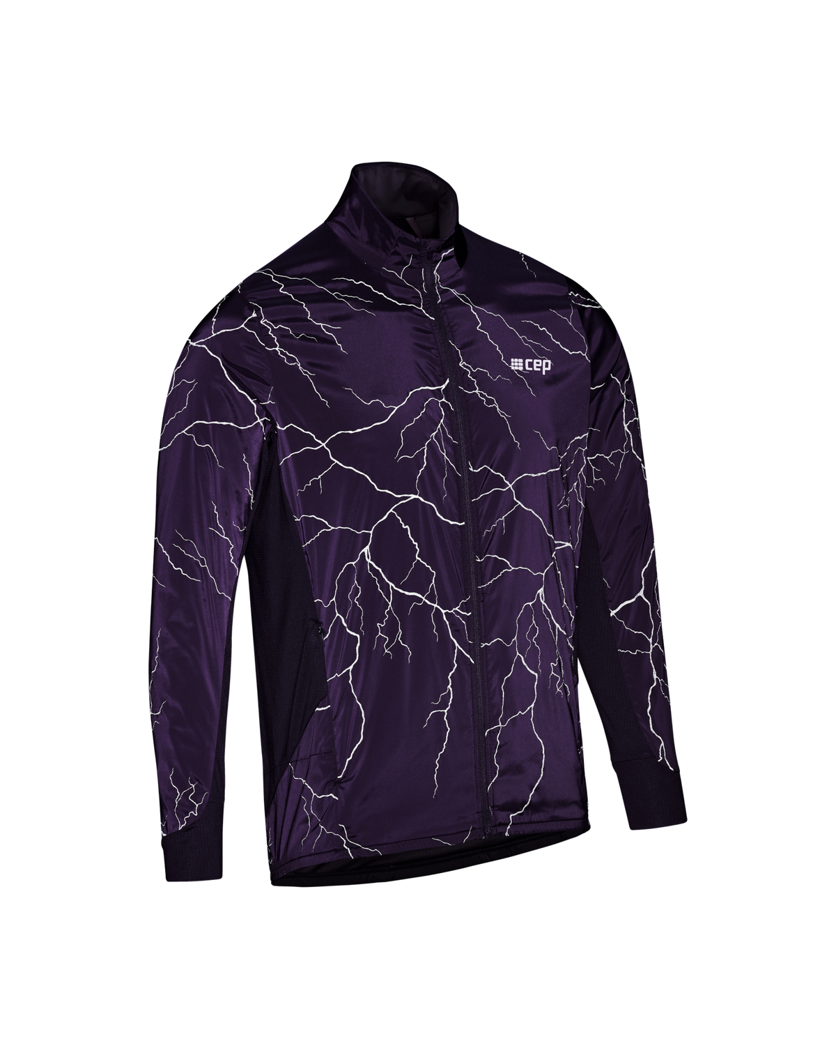 Reflective Windbreaker, Men, Purple