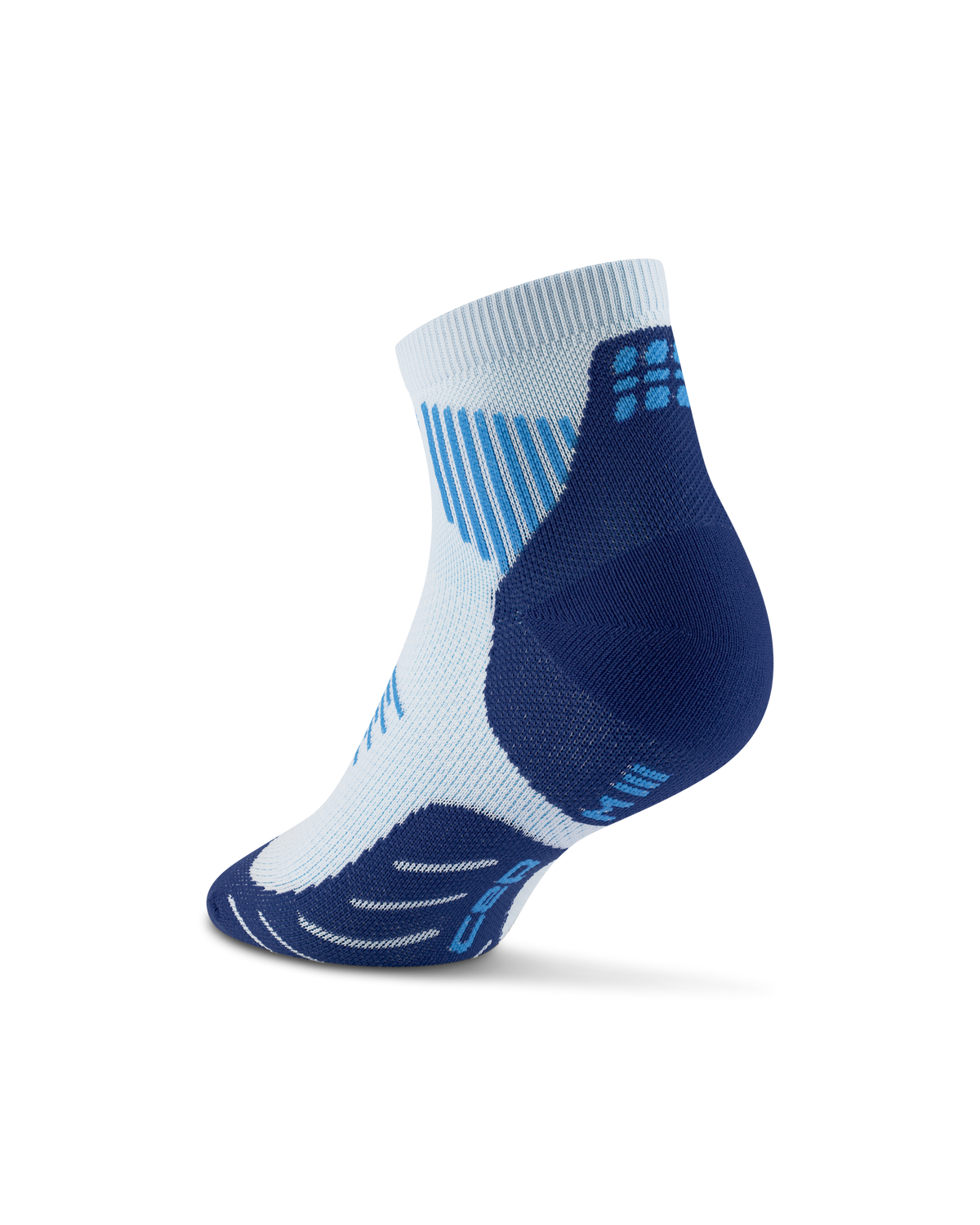 Core Run Low Cut Socks 5.0, Ice/Blue