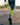 Tall Compression Socks 3.0, Men, Lime/Light Grey, Lifestyle